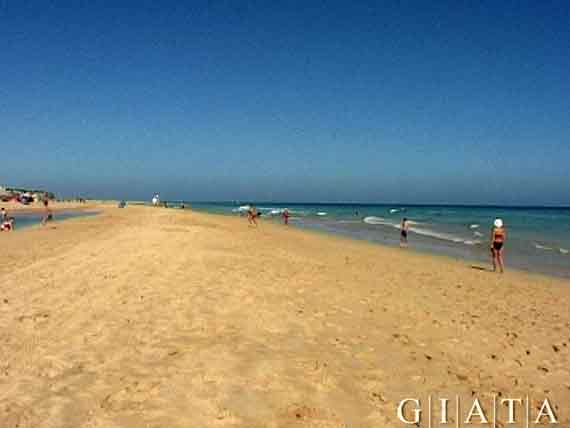 Playa de Janida, Jandia, Morro Jable, Fuerteventura, Kanaren ( Urlaub, Reisen, Lastminute-Reisen, Pauschalreisen )