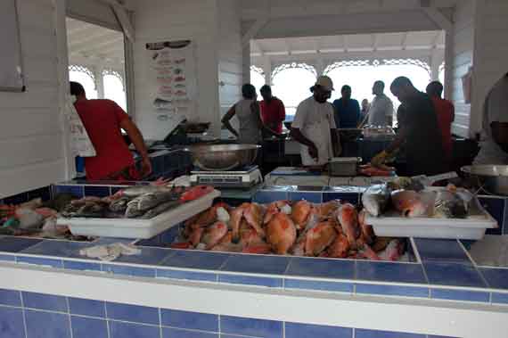 Karibik-Insel St Maarten, Philipsburg - Fischmarkt (Kleine Antillen) ( Urlaub, Reisen, Lastminute-Reisen, Pauschalreisen )