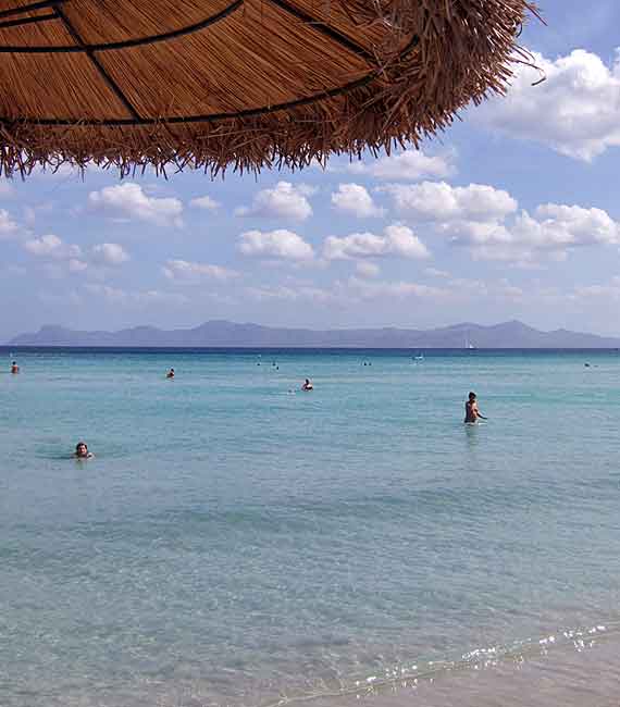 Mallorca, Bucht von Alcudia - flach abfallender Sandstrand ( Urlaub, Reisen, Lastminute-Reisen, Pauschalreisen )