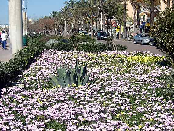 Promenade Can Pastilla, Playa de Palma, Mallorca ( Urlaub, Reisen, Lastminute-Reisen, Pauschalreisen )